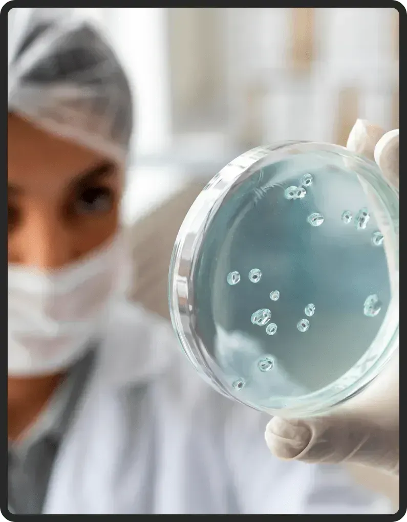 BioSteady Supplement